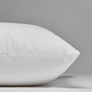 Detailed information about the product Adairs White European Pillow Dreamer Medium White