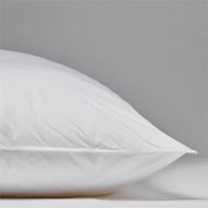 Detailed information about the product Adairs White Body Pillow Dreamer Medium Profile Body Pillow