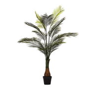 Detailed information about the product Adairs Green Faux Plant Evergreen Plant Palm Tree Green