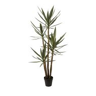 Detailed information about the product Adairs Green Heneken Potted Plant 183cm Faux