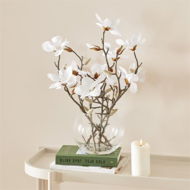 Detailed information about the product Adairs White Stem Magnolia In Vase