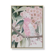 Detailed information about the product Adairs Pink Wall Art Paradise Pink Galah Canvas