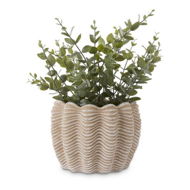 Detailed information about the product Adairs Green Faux Plant Potted Coin Green Plant