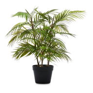 Detailed information about the product Adairs Green Faux Plant Potted Fern H72cm