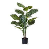 Detailed information about the product Adairs Green 120cm Calathea Potted Plant Faux