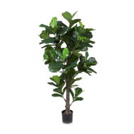Detailed information about the product Adairs Green Faux Plant Potted Plants Fiddle Fig 190cm