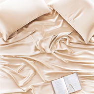 Detailed information about the product Adairs Pink King Pure Silk Sheets King Shell Pink Sheet Set