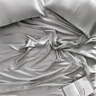 Detailed information about the product Adairs Grey King Pure Silk Silver Sheet Set Grey