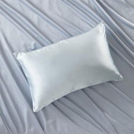 Detailed information about the product Adairs Blue Standard Pillowcase Each Pure Silk Soft Blue Pillowcase