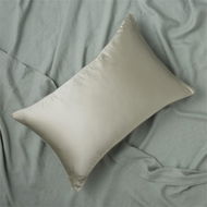 Detailed information about the product Adairs Pure Silk Tea Green Pillowcase (Green U Shape Pillowcase)