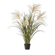 Detailed information about the product Adairs Green Faux Plant Reed Grass Green & Taupe