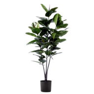 Detailed information about the product Adairs Green Faux Plant Rubber Fig Potted Plant 130cm