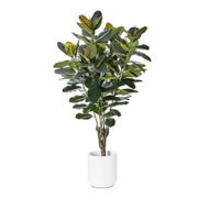 Detailed information about the product Adairs Green Rubber Fig Potted 150cm Faux Plant