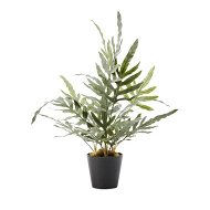 Detailed information about the product Adairs Green Faux Plant Silver & Green Potted Kangaroo Fern
