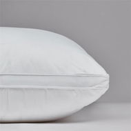 Detailed information about the product Downtime White Bamboo Surround High Profile Pillow By Adairs