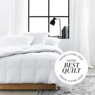 Detailed information about the product Downtime White Double Supreme Silver Goose Quilt