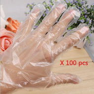 Detailed information about the product 100 Clear Disposable Plastic Gloves