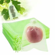 Detailed information about the product 100Pcs Fruit Protection Bags With Drawstring,20X30Cm Green Organza Produce Bags For Fruit Trees,Mesh Netting For Garden Protection