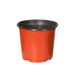 100x Plastic Plant Pots Bulk Flowers X-Large. Available at Crazy Sales for $49.97