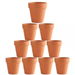 10x 5cm Flower Pot Pots Clay Ceramic Plant Drain Hole Succulent Cactus Nursery Planter. Available at Crazy Sales for $19.95