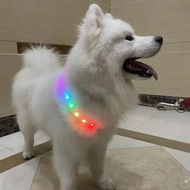 Detailed information about the product 11-Color LED USB Rechargeable Dog Collar Flashing Necklace with Night Safety Glowing Light, Anti-Lost Harnesses