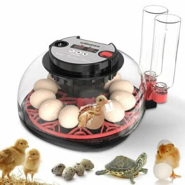 12 Egg Incubator Automatic Turning Stop Humidity Control Candler Poultry Chicken Hatching Bird Chook Chick Turner Hatcher Farming Machine Equipment