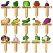 15 Pcs Plant Name Markers,Vegetable Names and Patterns Garden Markers Wooden Plant Labels for Vegetables Seedling Potted Plants Garden Stake Sign. Available at Crazy Sales for $12.99