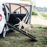 Detailed information about the product 160cm Folding Pet Ramp With Non-slip Surface For Car & Bed