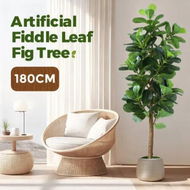 Detailed information about the product 180cm Artificial Plants Fiddle Leaf Fig Tree Moss Faux Fake Imitation Indoor Green Potted Room Garden Natural Home Decoration Lifelike Branches Leaves