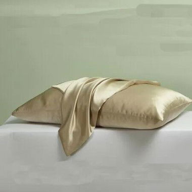 1Pcs 100% Pure Mulberry Silk Pillowcase for Hair and Skin, Allergen Resistant Dual Sides with Hidden Zipper, Size, 51 x 91 cm, Champagne