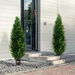 2 Pack 4' Artificial Cedar Topiary Tree Faux Plant UV Decor In/Outdoor. Available at Crazy Sales for $239.96