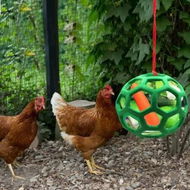 Detailed information about the product 2-Pack Chicken Feeder Balls for Poultry and Large Birds: Fun and Interactive Way to Feed, Reduces Boredom, Durable, Adjustable Height