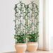 2 Packs Metal Garden Trellis for Climbing Plant Support 87x20 in Rustproof. Available at Crazy Sales for $119.96