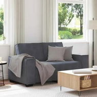 Detailed information about the product 2-Seater Sofa Dark Grey 120 cm Velvet