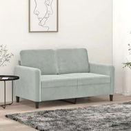 Detailed information about the product 2-Seater Sofa Light Grey 120 cm Velvet