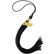Detailed information about the product 2025 Graduation Tassel,1Pcs Graduation Cap Tassel 2025 Grad Graduation Tassel for 2025 Graduation Ceremonies Accessories (Black)