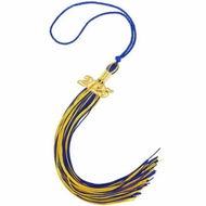 Detailed information about the product 2025 Graduation Tassel,1Pcs Graduation Cap Tassel 2025 Grad Graduation Tassel for 2025 Graduation Ceremonies Accessories (Gold Blue)