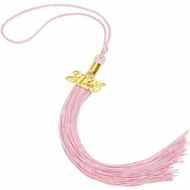 Detailed information about the product 2025 Graduation Tassel,1Pcs Graduation Cap Tassel 2025 Grad Graduation Tassel for 2025 Graduation Ceremonies Accessories (Pink)