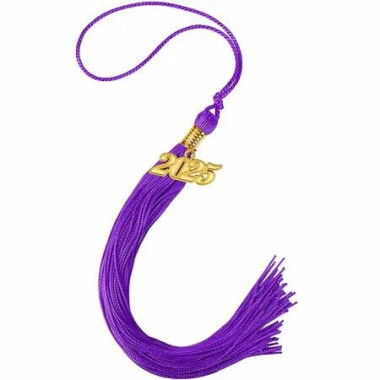 2025 Graduation Tassel,1Pcs Graduation Cap Tassel 2025 Grad Graduation Tassel for 2025 Graduation Ceremonies Accessories (Purple)