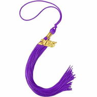 Detailed information about the product 2025 Graduation Tassel,1Pcs Graduation Cap Tassel 2025 Grad Graduation Tassel for 2025 Graduation Ceremonies Accessories (Purple)