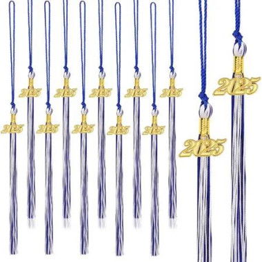 2025 Graduation Tassels,10Pcs Graduation Cap Tassels 2025 Grad Graduation Tassels for 2025 Graduation Ceremonies Accessories (Blue White)