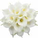 20pcs Calla Lily Bridal Wedding Bouquet Real Touch Artificial Flower Home Party Decor White. Available at Crazy Sales for $29.95