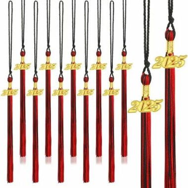 20Pcs Graduation Tassels Academic Graduation Cap Hat Tassel with 2025 Gold Charm for 2025 Graduation Ceremonies Accessories (Black Red)