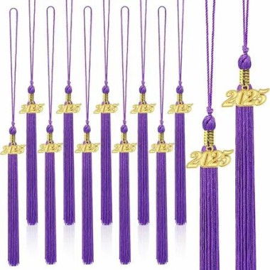 20Pcs Graduation Tassels Academic Graduation Cap Hat Tassel with 2025 Gold Charm for 2025 Graduation Ceremonies Accessories (Purple)