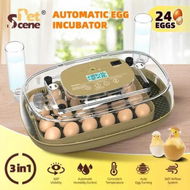 Detailed information about the product 24 Eggs Incubator Automatic Egg Hatcher Breeder Hatching Machine for Chicken Duck Bird Pigeon Quail Poultry Auto Turner Water Refill Bottles Candler