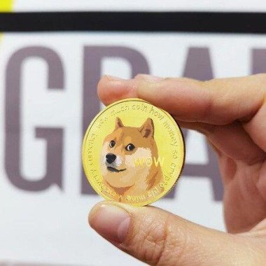 2 Pcs Dogecoin Commemorative Coin Gold & Silver Plated Doge Coin 2021 Limited Edition Collectible Coin Virtual Currency Gift.