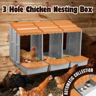 3 Hole Chicken Nesting Box Hen Chook Roll Away Modular Laying Boxes Poultry Perch Egg Coop Nest House Plastic