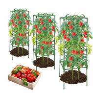 Detailed information about the product 3 Pack Tomato Cages,Square Tomato Plant Stakes Support Cages Trellis for Garden Climbing Vegetables Flowers Fruits (3 Pack,Extra Bold)