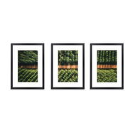 Detailed information about the product 3 Pcs Photo Frames Set Wall - Black