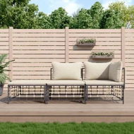 Detailed information about the product 3 Piece Garden Lounge Set with Cushions Anthracite Poly Rattan